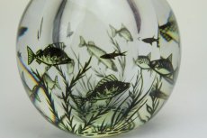 画像2: Orrefors Fish Graal　Edward Hald/オレフォシュ　水槽の魚 ガラス花瓶 (2)