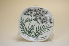 画像1: ARABIA Botanica achillea Esteri Tomula/アラビア ボタニカ　ウォールプレート ノコギリソウ (1)