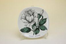 画像1: ARABIA Botanica Rosa Esteri Tomula/ボタニカ　ウォールプレート 白バラ (1)