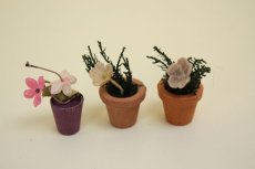 画像1: Lundbyドールハウス/ミニチュア家具 植物3個セット (1)