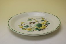 画像5: Wedgwood Florabunda Plate/ウェッジウッド プレート (5)