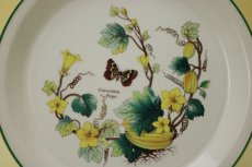 画像2: Wedgwood Florabunda Plate/ウェッジウッド プレート (2)