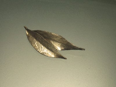 画像1: 北欧アンティークブローチ　2枚の葉ｄ